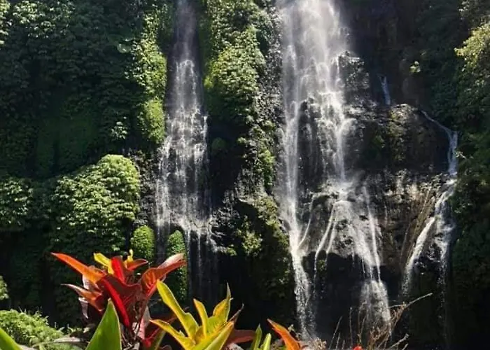 Séjour chez l'habitant Bendesa Mas